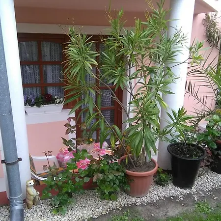 ゲストハウス イローナ キシュ コシュティ パンジオ