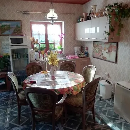 イローナ キシュ コシュティ パンジオ ゲストハウス