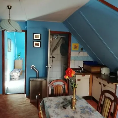 イローナ キシュ コシュティ パンジオ ケストヘイ