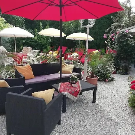 イローナ キシュ コシュティ パンジオ ケストヘイ